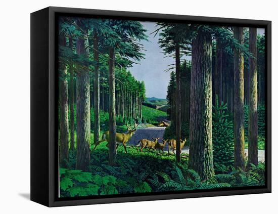 Forest Friends-Stan Galli-Framed Stretched Canvas