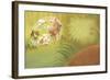 Forest Friends-April Hartmann-Framed Giclee Print