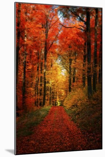 Forest Garden-Philippe Sainte-Laudy-Mounted Photographic Print