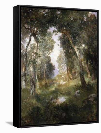 Forest Glade, Santa Barbara, 1918-Moran-Framed Stretched Canvas