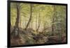 Forest Glade, Springtime-Johannes Boesen-Framed Giclee Print