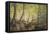 Forest Glade, Springtime-Johannes Boesen-Framed Stretched Canvas