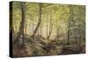 Forest Glade, Springtime-Johannes Boesen-Stretched Canvas