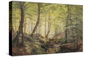 Forest Glade, Springtime-Johannes Boesen-Stretched Canvas