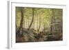 Forest Glade, Springtime-Johannes Boesen-Framed Giclee Print