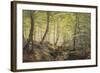 Forest Glade, Springtime-Johannes Boesen-Framed Giclee Print