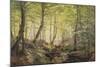 Forest Glade, Springtime-Johannes Boesen-Mounted Giclee Print