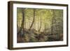 Forest Glade, Springtime-Johannes Boesen-Framed Giclee Print