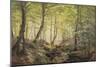 Forest Glade, Springtime-Johannes Boesen-Mounted Giclee Print