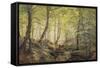 Forest Glade, Springtime-Johannes Boesen-Framed Stretched Canvas