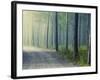 Forest Glade-Andreas Stridsberg-Framed Giclee Print