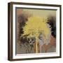 Forest Glow I-Ken Hurd-Framed Giclee Print