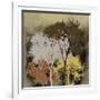 Forest Glow II-Ken Hurd-Framed Giclee Print