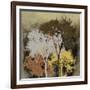 Forest Glow II-Ken Hurd-Framed Giclee Print