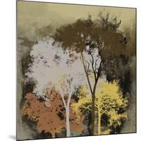 Forest Glow II-Ken Hurd-Mounted Giclee Print