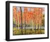 Forest Glow-Jean Cauthen-Framed Giclee Print