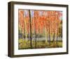 Forest Glow-Jean Cauthen-Framed Giclee Print