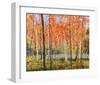 Forest Glow-Jean Cauthen-Framed Giclee Print