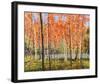 Forest Glow-Jean Cauthen-Framed Giclee Print