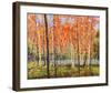 Forest Glow-Jean Cauthen-Framed Giclee Print