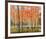 Forest Glow-Jean Cauthen-Framed Giclee Print