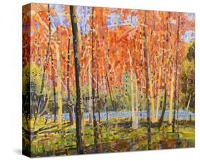 Forest Glow-Jean Cauthen-Stretched Canvas