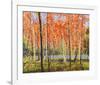 Forest Glow-Jean Cauthen-Framed Art Print