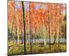 Forest Glow-Jean Cauthen-Mounted Art Print