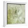 Forest Green I-Ken Hurd-Framed Giclee Print