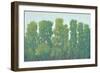 Forest Green I-Tim OToole-Framed Art Print