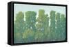 Forest Green I-Tim OToole-Framed Stretched Canvas