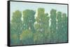 Forest Green I-Tim OToole-Framed Stretched Canvas
