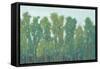 Forest Green II-Tim OToole-Framed Stretched Canvas