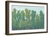 Forest Green II-Tim OToole-Framed Art Print