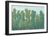 Forest Green II-Tim OToole-Framed Art Print