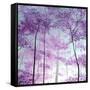 Forest Greeting-Herb Dickinson-Framed Stretched Canvas