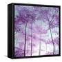 Forest Greeting-Herb Dickinson-Framed Stretched Canvas