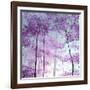 Forest Greeting-Herb Dickinson-Framed Photographic Print