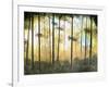 Forest Harmony-Herb Dickinson-Framed Premium Photographic Print