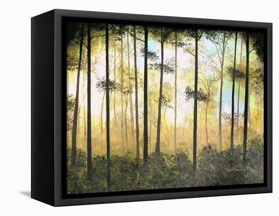 Forest Harmony-Herb Dickinson-Framed Stretched Canvas