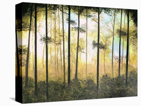 Forest Harmony-Herb Dickinson-Stretched Canvas