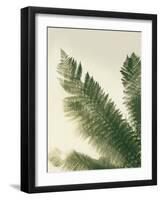 Forest Haven II-Ella Lancaster-Framed Giclee Print