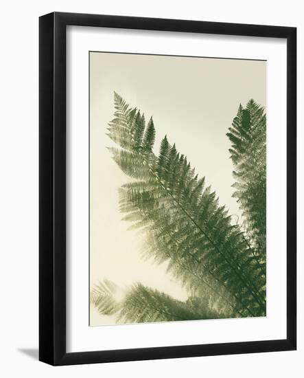 Forest Haven II-Ella Lancaster-Framed Giclee Print