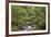 Forest Haven-Staffan Widstrand-Framed Giclee Print