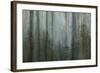 Forest I-Kathy Mahan-Framed Art Print