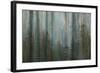 Forest I-Kathy Mahan-Framed Art Print