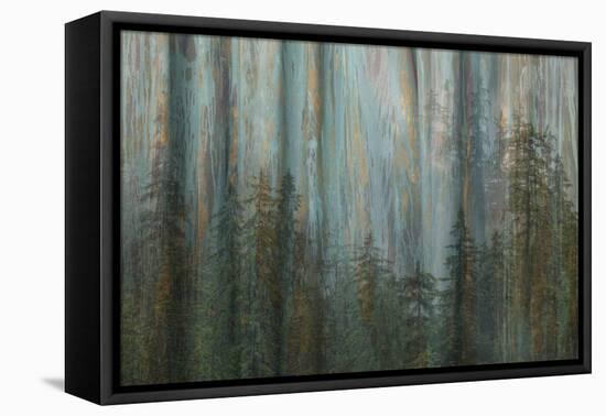 Forest I-Kathy Mahan-Framed Stretched Canvas