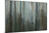 Forest I-Kathy Mahan-Mounted Art Print