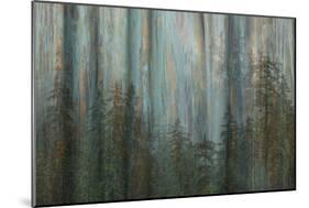 Forest I-Kathy Mahan-Mounted Art Print