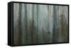 Forest I-Kathy Mahan-Framed Stretched Canvas